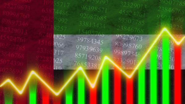 الإمارات: ارتفاع قيمة الأسهم المملوكة للمستثمرات المواطنات إلى 17.5 مليار درهم