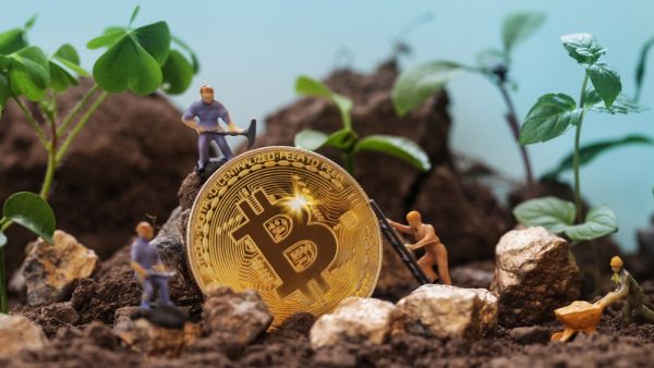 Source: Shutterstock 8 Eco-Friendly Crypto Companies Actively Making a Difference