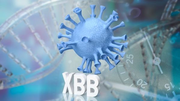 ما هو متحور كورونا "XBB" الجديد؟