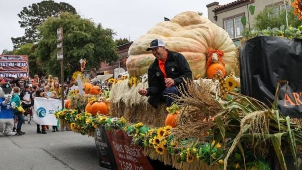 يقطينة أمريكية تزن أكثر من طن