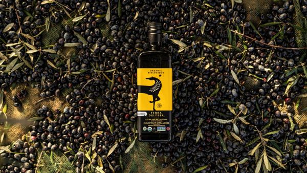 Gulf Capital Announces Successful Exit from Global Olive Oil Producer CHO Group, a Leader in Sustainable Farming in North Africa.