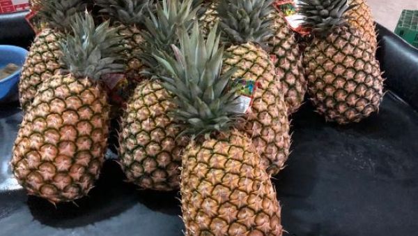 Dubai Customs Seizes Marijuana Stuffed in Pineapples