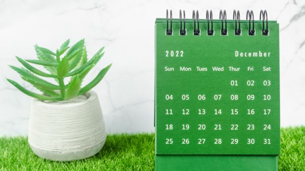 توقعات الأبراج لشهر كانون الأول/ ديسمبر 2022
