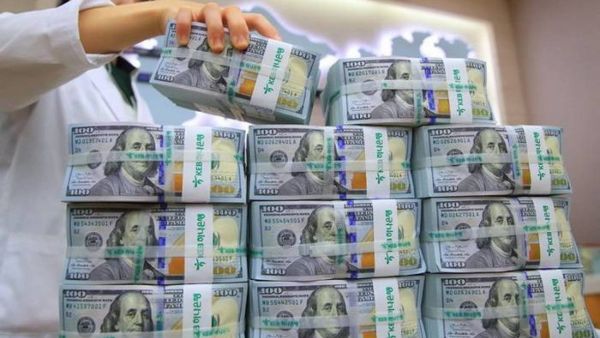 سعر الدولار في سوريا اليوم