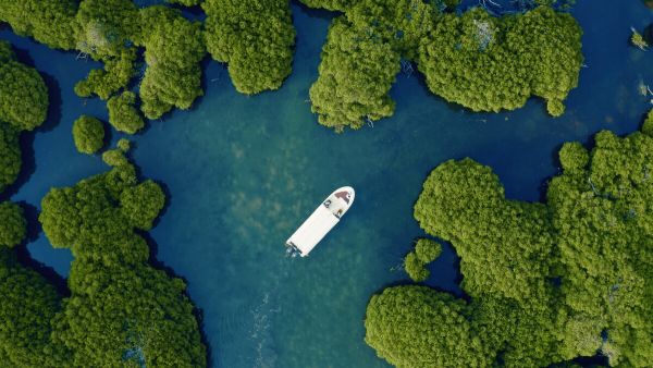The rise can be attributed partly to the Saudi 2030 Vision under which the government is invested in boosting tourism to the Kingdom. Rehlat: Saudi Arabia lesser known landscapes attract global leisure travelers