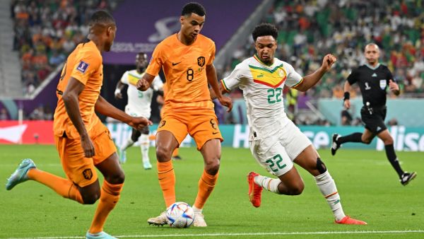 هولندا تحصد أول ثلاث نقاط لها على حساب السنغال في كأس العالم 2022