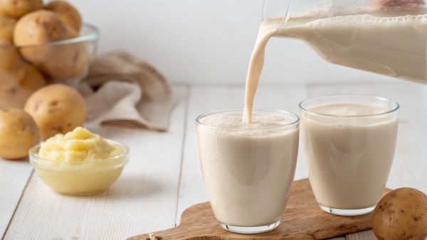 حليب البطاطا فوائد محدودة 