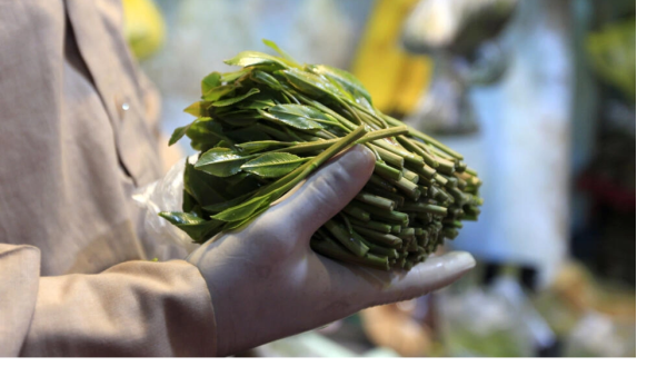 A bundle of khat, or qat, a mildly narcotic shrub, at a market in the Yemeni capital Sanaa on May 1, 2020 © Mohammed HUWAIS / AFP Khat