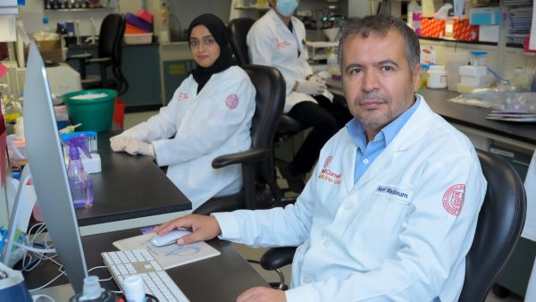 الدكتور نايف مظلوم، الدكتور عائشة مدني والدكتور ياسر مجيد باحثون من وايل كورنيل للطب - قطر يكتشفون الآليات المؤدّية للالتهاب في أمراض السمنة والسرطان والسكري من النوع الثاني