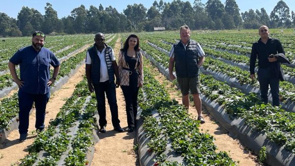 Dubai International Chamber supports Zimbabwean agriculture company expand in Dubai