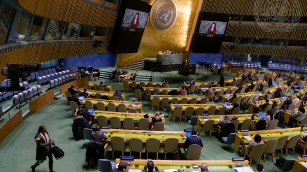 عتمدت الجمعية العامة، مشروع القرار، بعد أن صوتت 87 دولة لصالحه