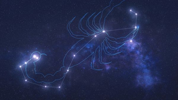 توقعات برج العقرب اليوم الثلاثاء 24 يناير 2023‎‎