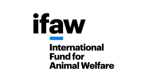 International Fund for Animal Welfare Youth Artists Across the World Called to get Creative for Wildlife