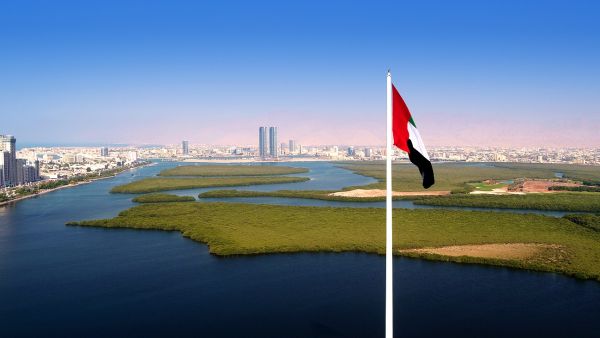 Flag with Julphar tower. Ras Al Khaimah Announces Creation of World's First Free Zone Dedicated to Digital and Virtual Asset Companies