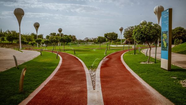 السباحة وركوب الدراجات والجري ضمن الأنشطة الرياضية بمؤسسة قطر