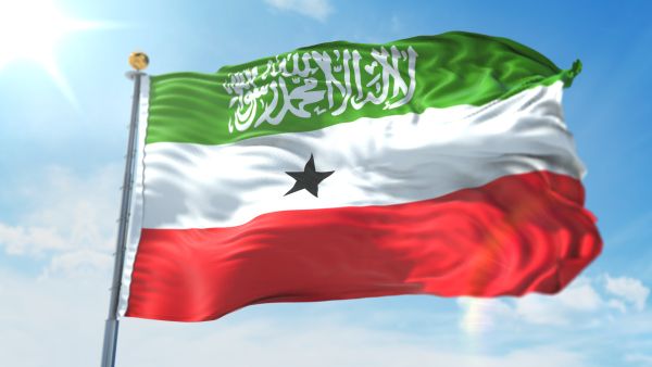 3D Illustration of the waving flag on a pole of country Somaliland.