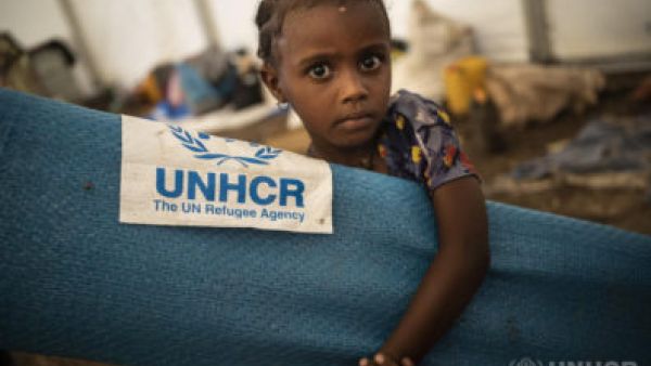 Vardot Partners with UNHCR, the UN Refugee Agency to Elevate Their Digital Presence