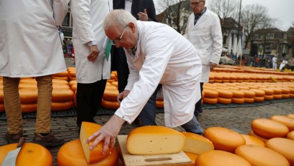مهرجان أجبان تقليدي في هولندا