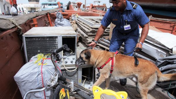 Dubai Customs: 4235 customs cases, including 2147 drug seizures in 2022