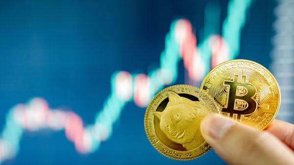 هل يمكن استخدام عملات الميمز كعملة حقيقية؟ 