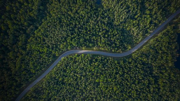أودي الشرق الأوسط تعزز التنقل المستدام من خلال مبادرة Tree-Nation لإعادة التشجير