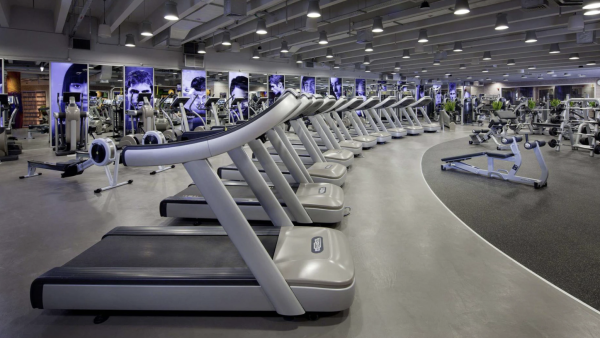 Dubai Sports Council approved the system of fitness centers classification based on the number of stars.