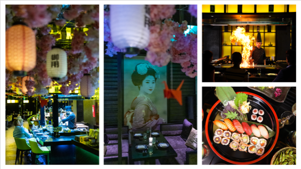 Embark on a Japanese Journey! Enjoy an Upbeat, Casual, and Authentic Dining Experience at Izakaya