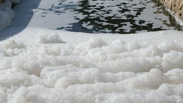 Brazilian river, foam