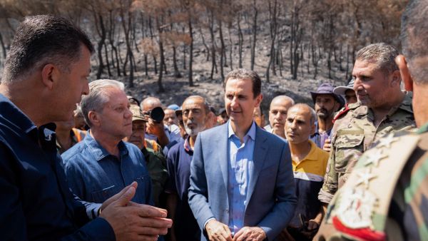 الاسد يتجول في غابات اللاذقية المحترقة