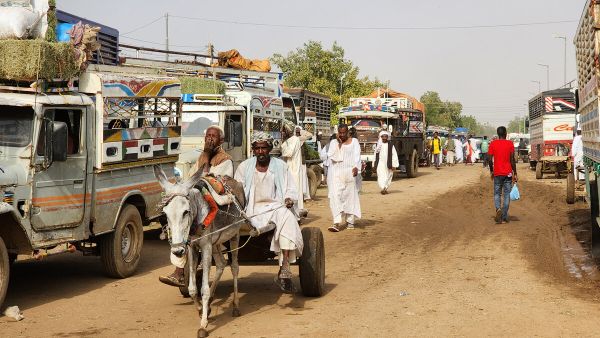 "انتشار كارثي" لحمى الضنك يفتك بالمئات ويصيب الالاف في السودان
