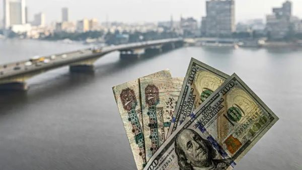 سعر الدولار اليوم مقابل الجنيه المصري