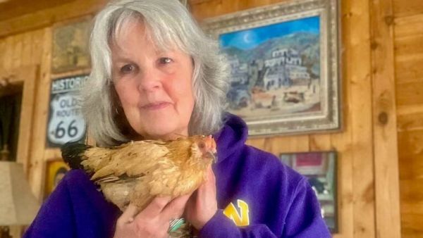 Peanut the chicken