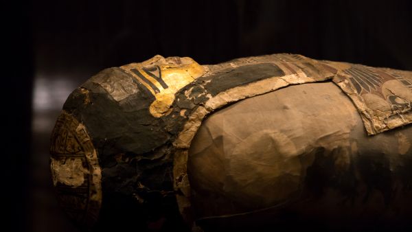 Egyptian mummy