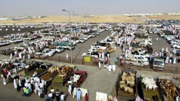 أسواق الطيور بالرياض