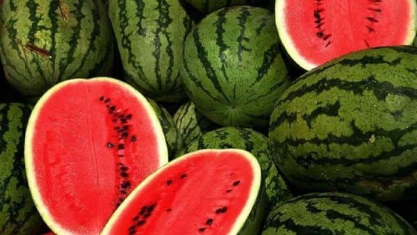 تفسير رؤية اكل البطيخ في المنام