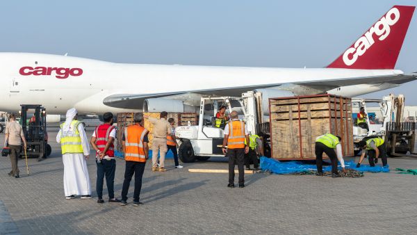 During the event EPAA Introduces 61 New African Species to Sharjah Safari