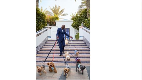 Park Hyatt Dubai Introduces a Tail-Telling Stay Offer 