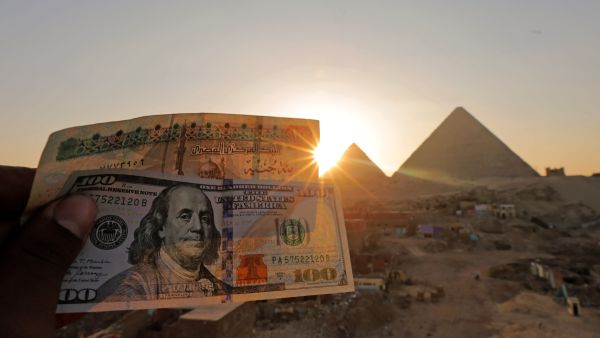 سعر الدولار اليوم في مصر