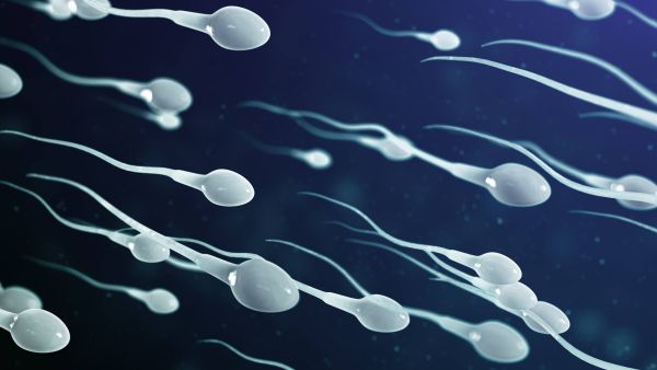 هل يجوز القذف أثناء الحمل في الشهر الأول