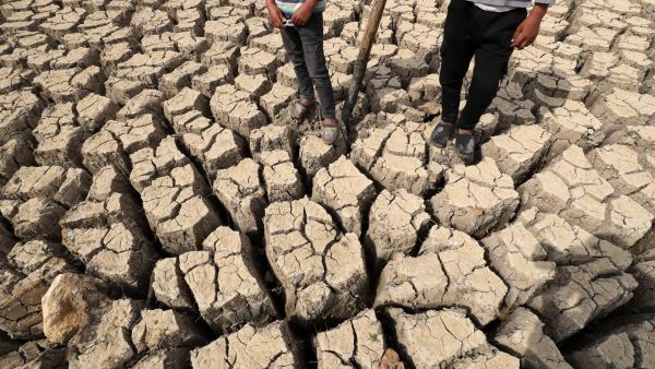 صورة ملتقطة في مدينة نابل التونسية الصيف الماضي