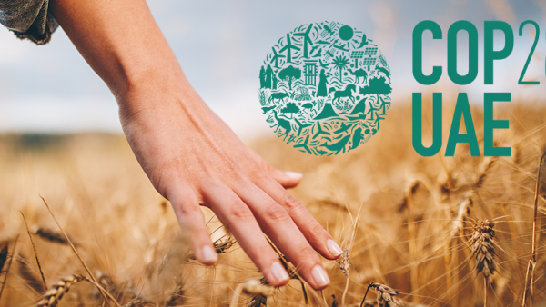 Royal Innovative: “We need a new food system ensuring that we give more to nature than we take from it”