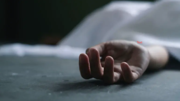 Shutterstock  fridge