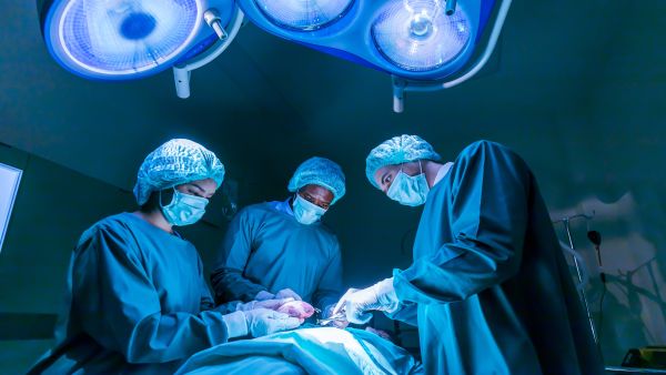 nerve transplant