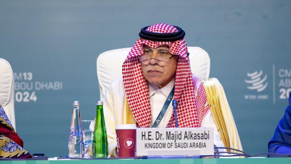 الوزير ماجد القصبي