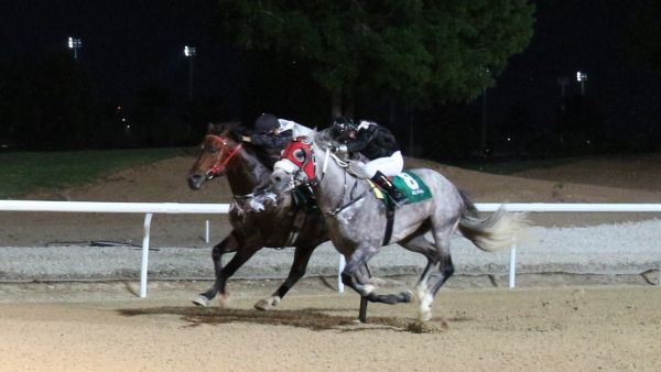 Al Masaood Automobiles Supports H.H. Sheikh Mansoor Bin Zayed Al Nahyan Racing Festival 2024