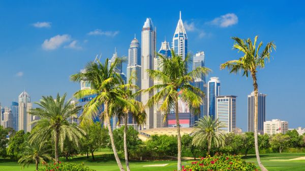 أفضل حدائق دبي: 19 حديقة ننصحك بها