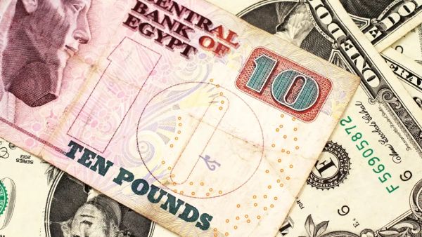 سعر الدولار اليوم مقابل الجنيه المصري