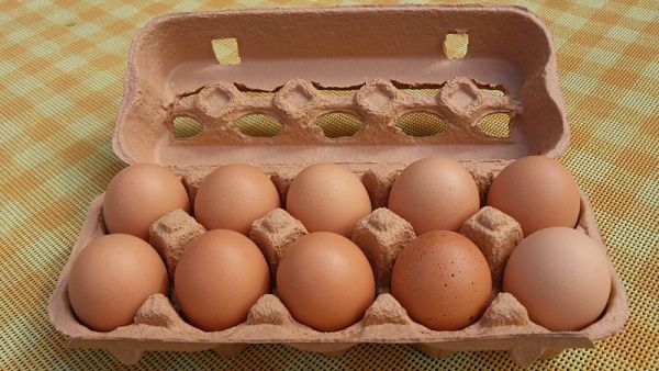 حافظة من الكرتون للبيض