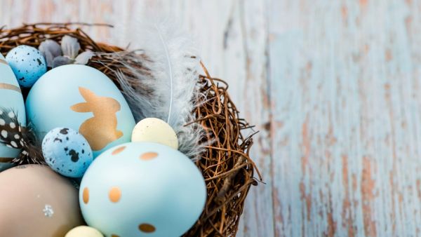 Shutterstock   Easter egg