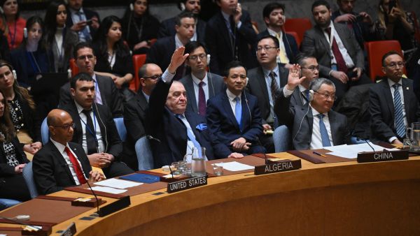 UN Security Council
